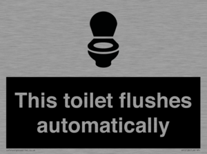 This toilet flushes automatically